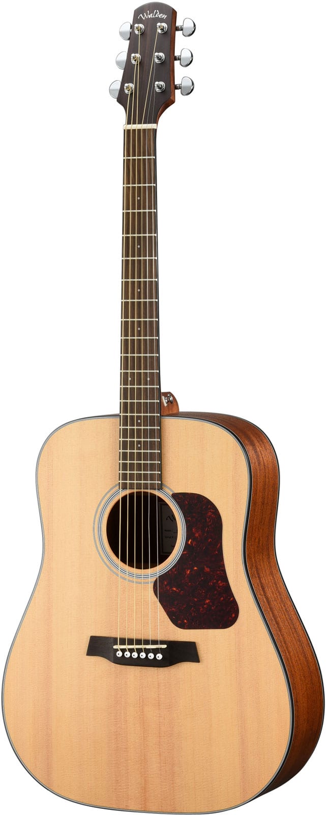 WALDEN DREADNOUGHT D550EW