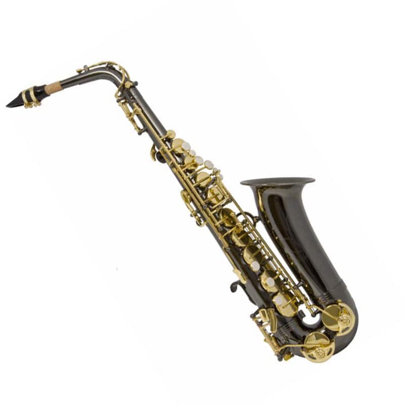 TREVOR JAMES ALPHA SAX - ALTO MIB VERNI NOIR (PETITES MAINS)