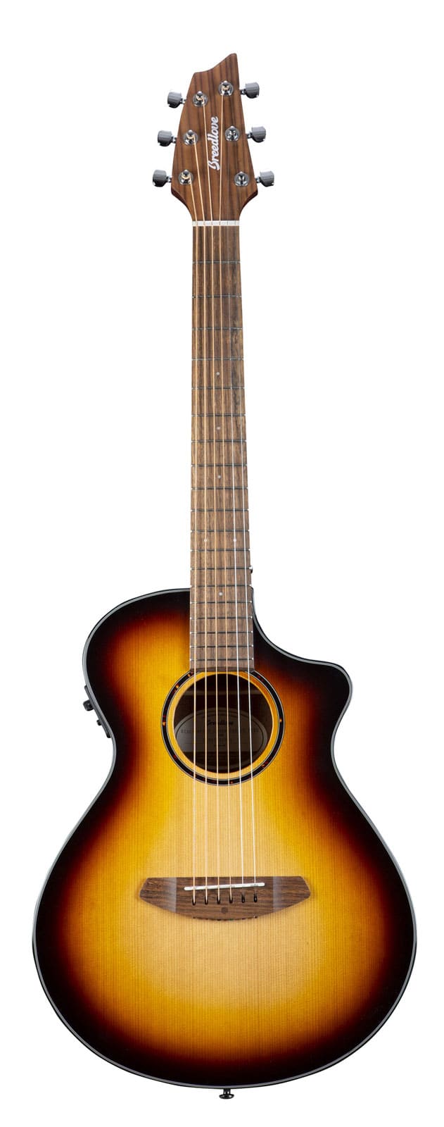 BREEDLOVE DISCOVERY S COMPANION CE EDGE