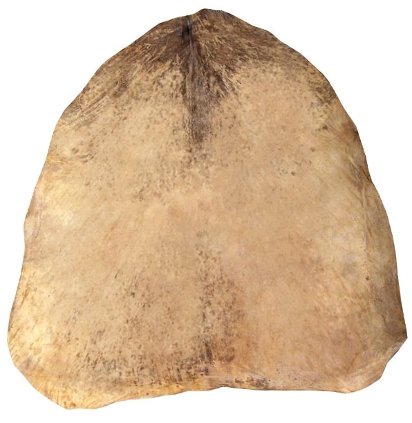 YOMAN GOAT SKIN